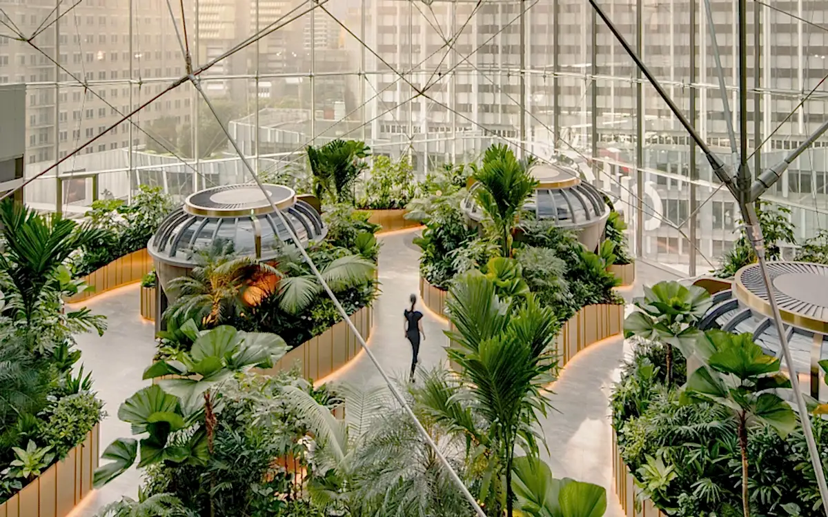 Biyofilik Tasarım Nedir?